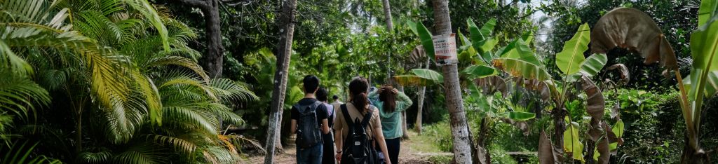 Four people walk along a narrow dirt path surrounded by lush green trees and tropical plants.