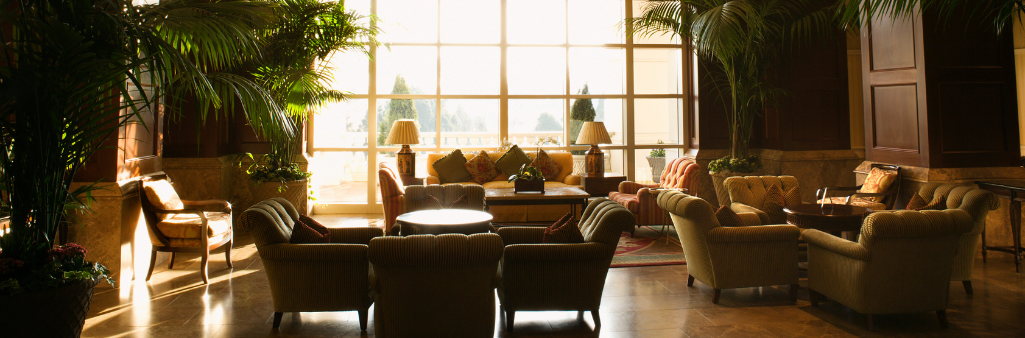 Elegant hotel lounge with armchairs, sofas, potted plants, and large sunlit windows in the background.