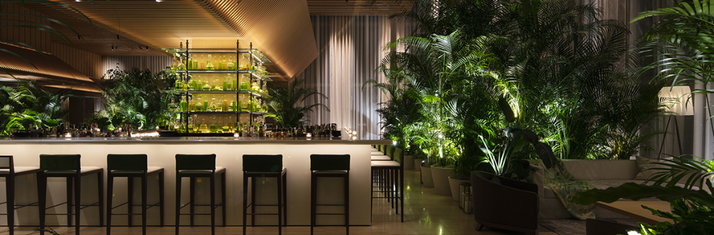 A modern bar with high stools, lush green plants, and warm ambient lighting in an elegant setting.