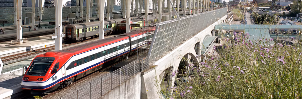 Red and white high-speed train at a modern station with glass arches and wildflowers in the foreground.