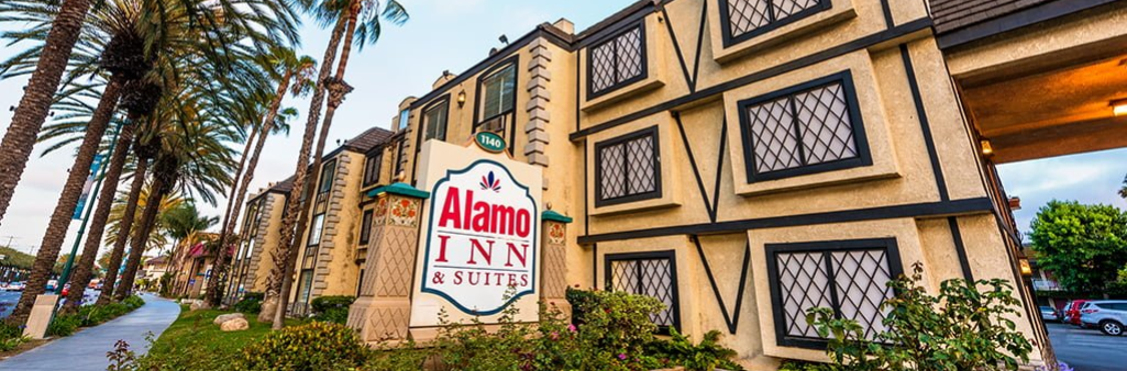 Alamo Inn & Suites sign in front of a tan hotel building with palm trees lining the sidewalk.