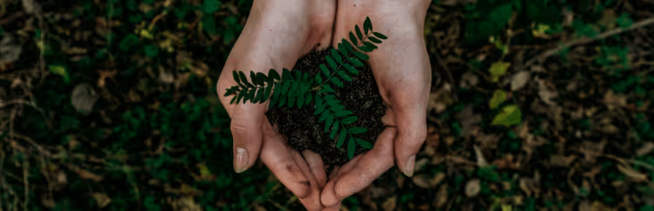 Sustainable living charity gift cards