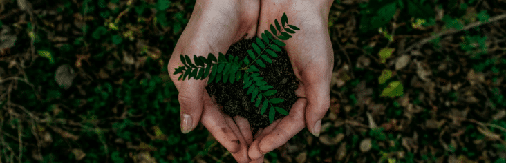 Sustainable living charity gift cards