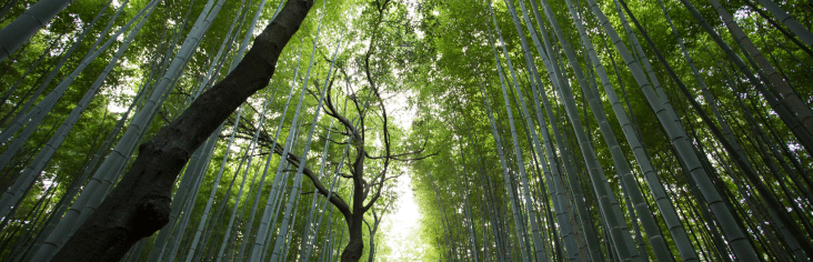 Buy sustainable gift cards