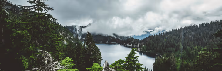 Sell gift cards instant payment