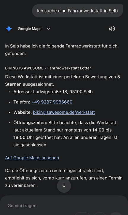 Screenshot of Gemini search for local bike shop