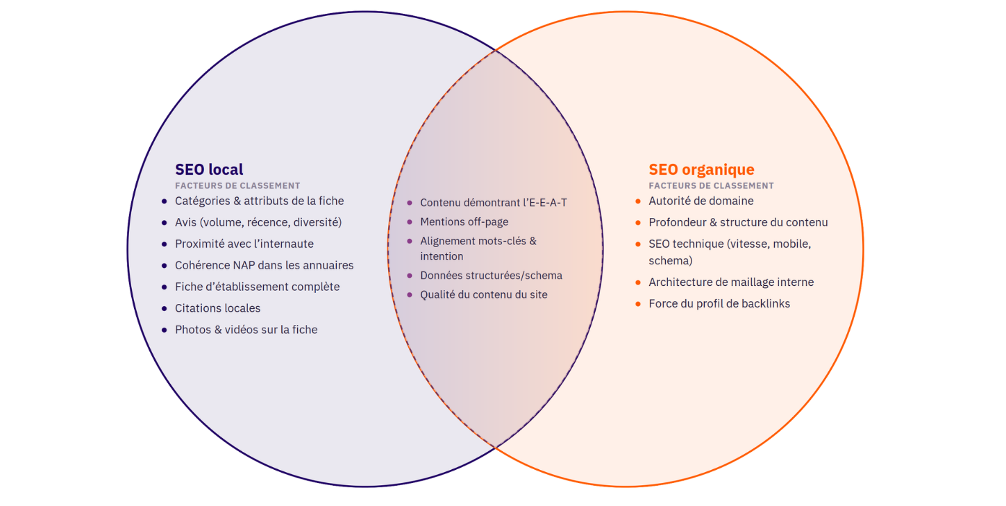 Diagramme de Venn : facteurs de classement du SEO local, du SEO organique et les facteurs communs dans la zone partagée.