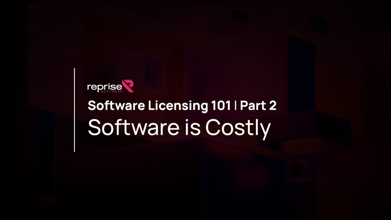 Software Licensing 101 Part 2 – Software Is Costly