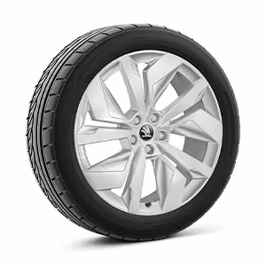 Ein freigestellter Reifen mit 20 Zoll Leichtmetallfelge “Vega” in der Variante "silber".