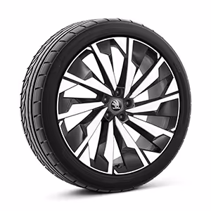 Ein freigestellter Reifen mit 21 Zoll Leichtmetallfelge “Supernova" in der Variante "schwarz glanzgedreht”.