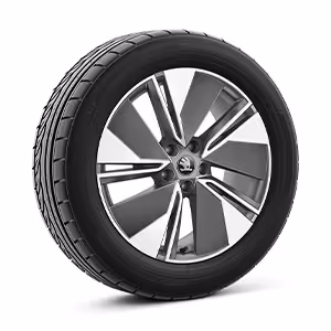 Ein freigestellter Reifen mit 19 Zoll Leichtmetallfelge “Regulus Aero”.