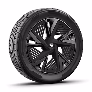 Ein freigestellter Reifen mit 20 Zoll Leichtmetallfelge “Draconis” mit Aeroblenden in schwarz.