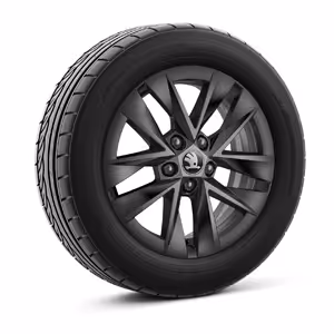 Ein freigestellter Reifen mit 15 Zoll Leichtmetallfelge “Rotare Aero schwarz”.