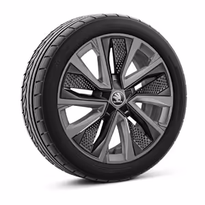 Ein freigestellter Reifen mit 17 Zoll Leichtmetallfelge “Procyon grau”.