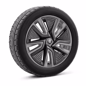 Ein freigestellter Reifen mit 16 Zoll Leichtmetallfelge “Proxima grau”.