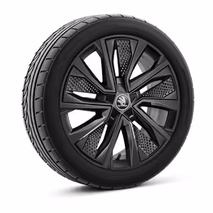 Ein freigestellter Reifen mit 17 Zoll Leichtmetallfelge “Procyon schwarz”.