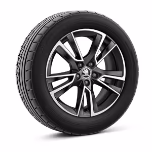 Ein freigestellter Reifen mit 16 Zoll Leichtmetallfelge “Proxima schwarz glanzgedreht”.