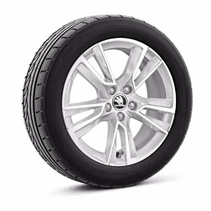 Ein freigestellter Reifen mit 16 Zoll Leichtmetallfelge “Proxima silber”.