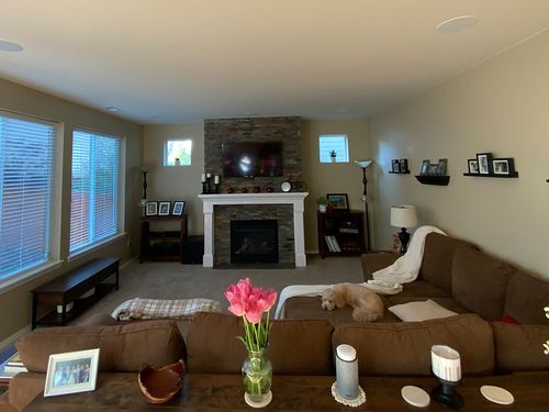 Cozy living room with brown sectional sofa, a small dog resting on it, stone fireplace with TV above, and pink tulips on a table behind the sofa.