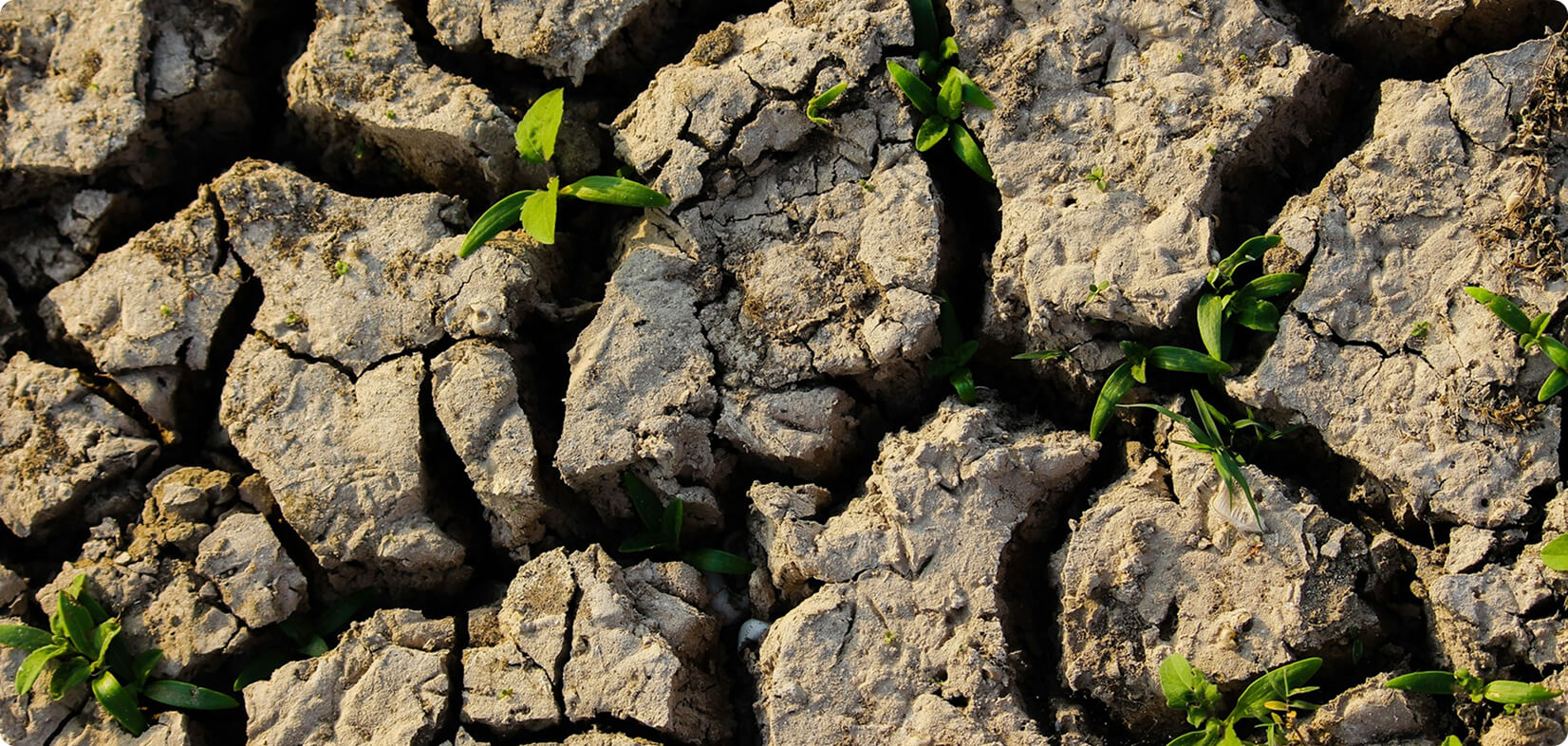 gresb score climate resilience strategy