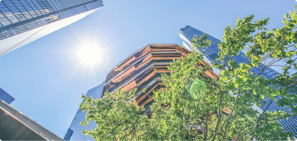 energy efficiency directive