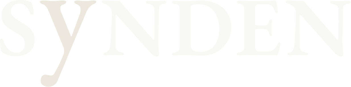 Velvet Ventures logo