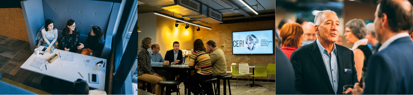 An image of CERI with people in a meeting and talking.