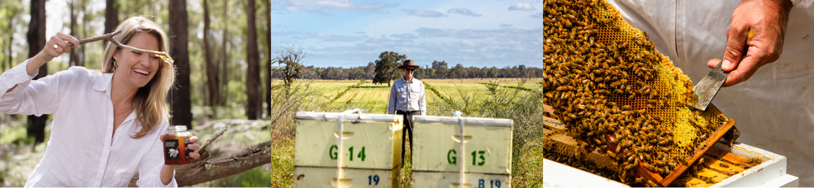 Person holding honey jar, beekeeper by labeled beehives, hands inspecting honeycomb frame.