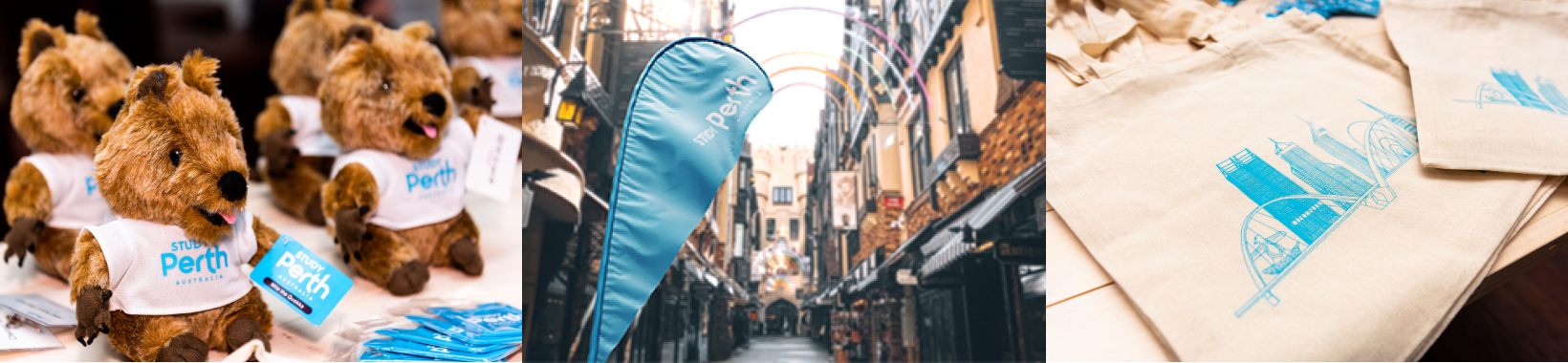 Collage photo of Study Perth stuffed toy, banner and bags.