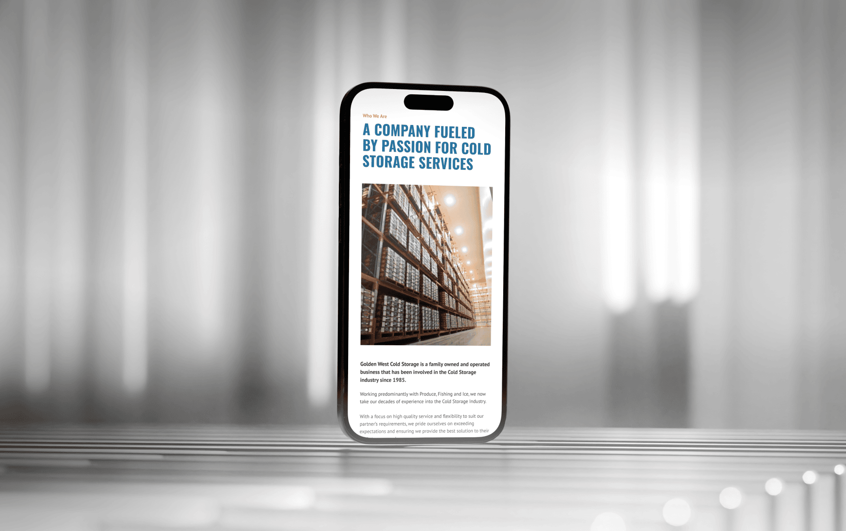 A smartphone displaying a webpage about a cold storage company.