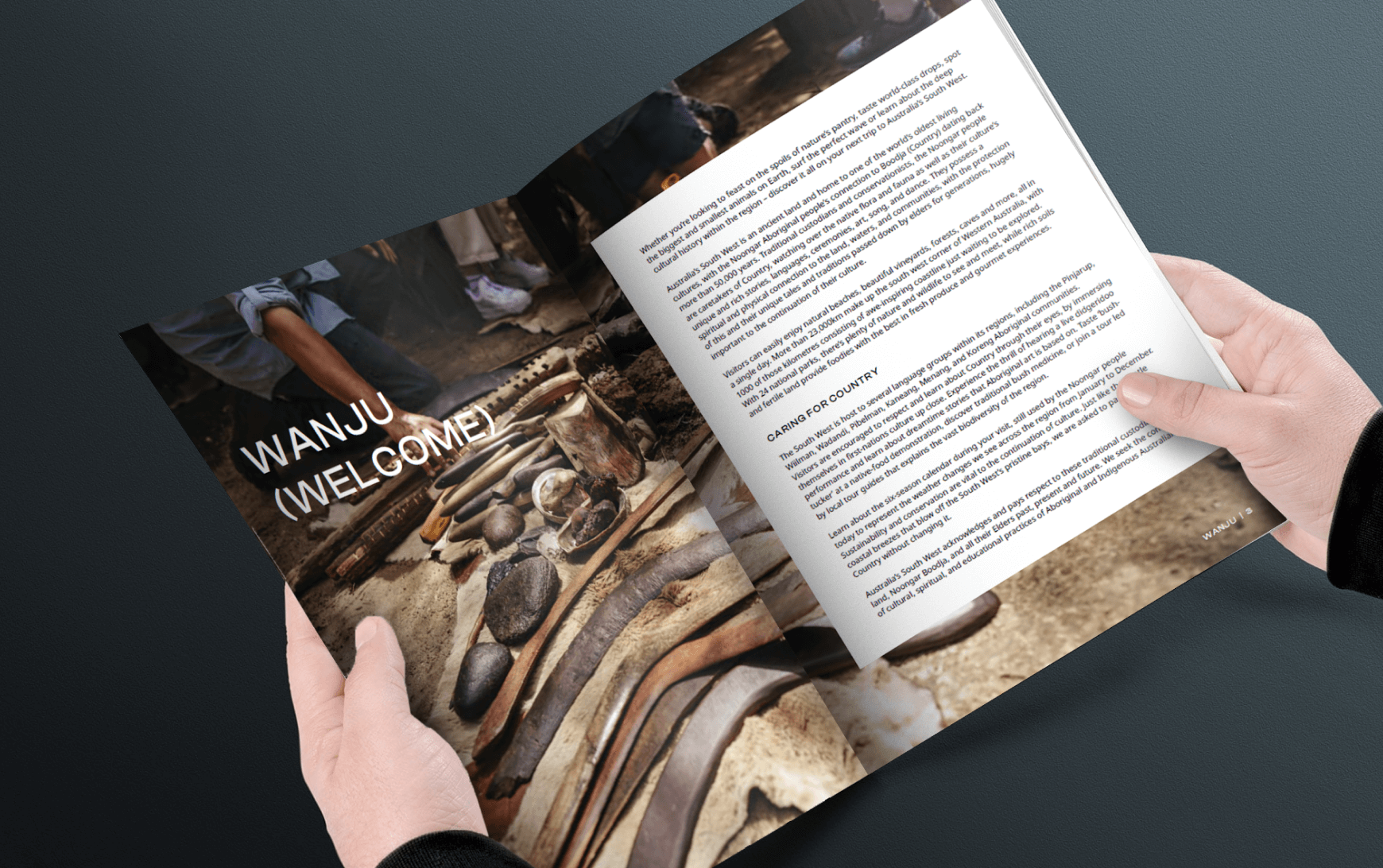 A person reading and holding a brochure.