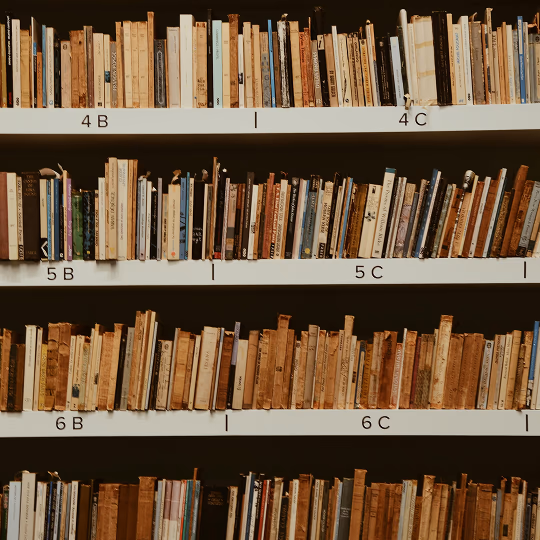 Regale mit zahlreichen alten und neuen Büchern, geordnet mit Beschriftungen wie 4 B, 4 C, 5 B, 5 C, 6 B, 6 C.