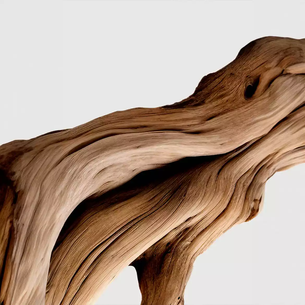 Feature_Matiere-Premiere