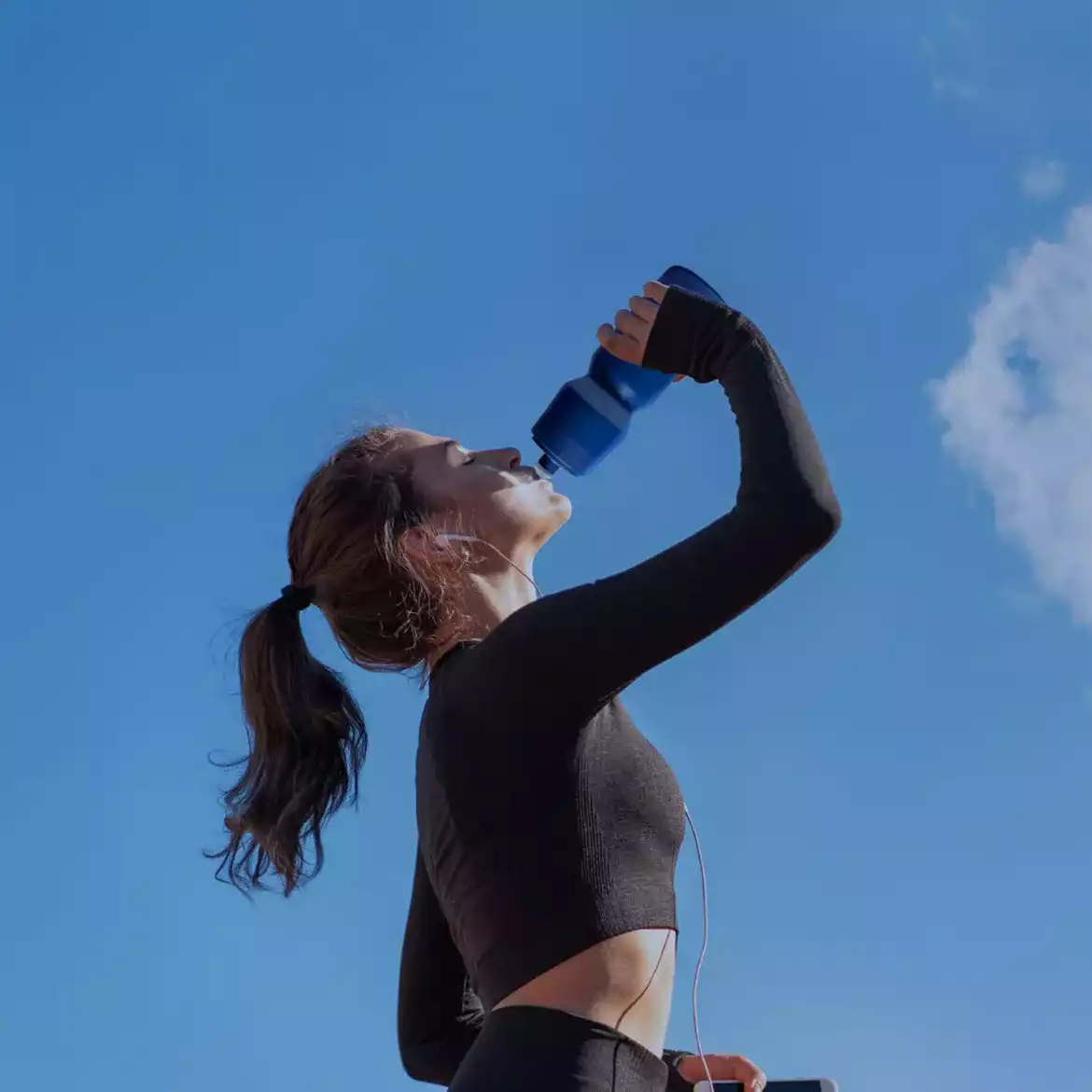 Impulse Nutrition