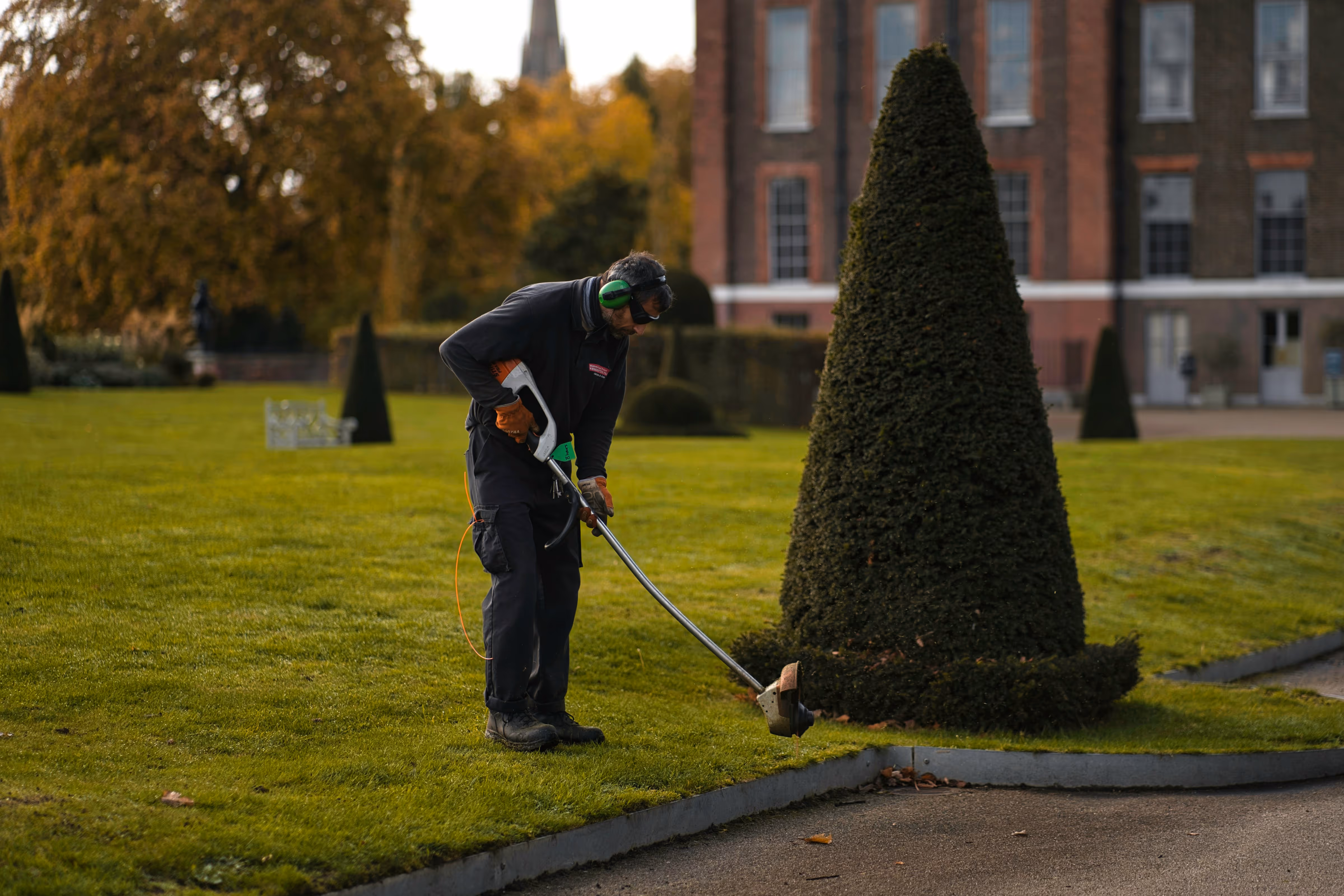 Gepflegte Außenanlage mit sauber geschnittenen Kanten und Wegen