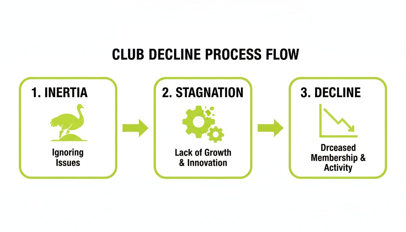 A flow chart illustrating the club decline process through inertia, stagnation, and membership decrease.