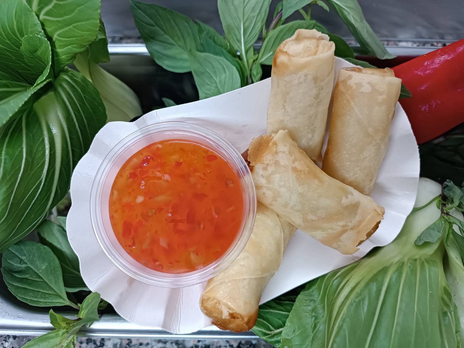 Vier Frühlingsrollen auf weißem Papierteller mit einer Plastikschale süß-saurer roter Dip-Soße, umgeben von frischen grünen Blättern und einer roten Chilischote.