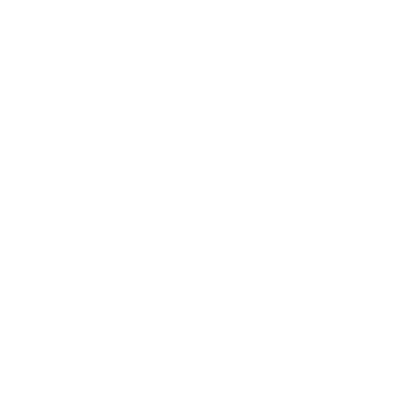 Nordic Spirit Logo
