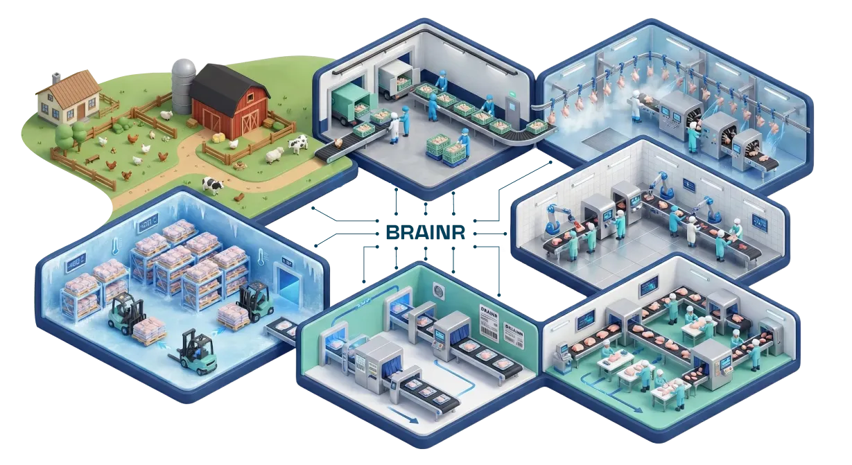Isometric diagram showing poultry farm to factory process including farm with animals, packaging, processing, inspection, and cold storage linked by the BRAINR system.