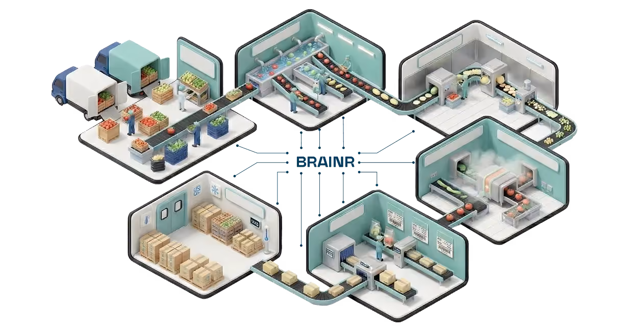 Isometric illustration of a fruit and vegetable factory with sections for receiving, sorting, washing, processing, packing, and cold storage connected by conveyor belts.