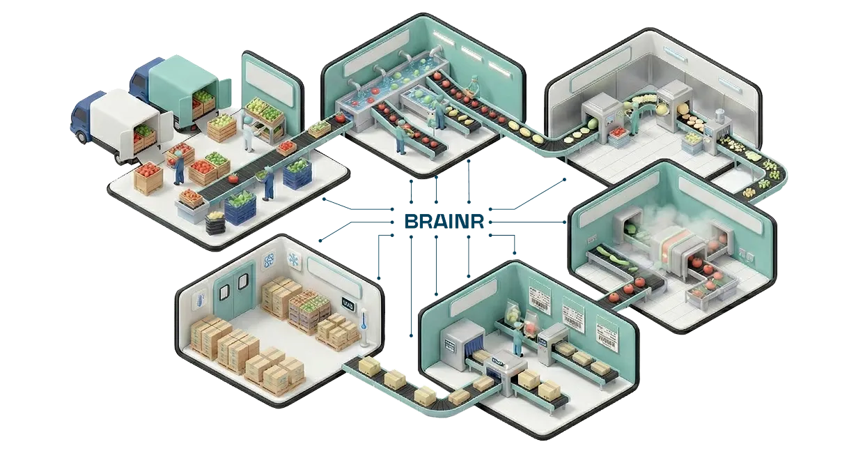Isometric illustration of a fruit and vegetable factory with sections for receiving, sorting, washing, processing, packing, and cold storage connected by conveyor belts.