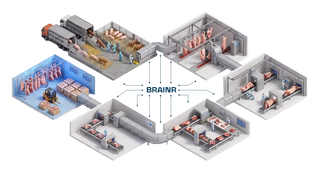 Illustration of a pork and beef factory workflow showing stages from livestock holding, slaughtering, meat processing, packaging, to storage with workers and automated systems connected by Brainr technology.