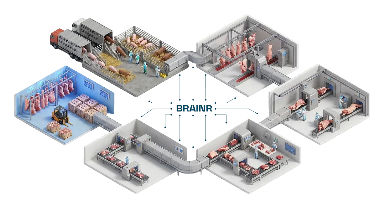 Illustration of a pork and beef factory workflow showing stages from livestock holding, slaughtering, meat processing, packaging, to storage with workers and automated systems connected by Brainr technology.