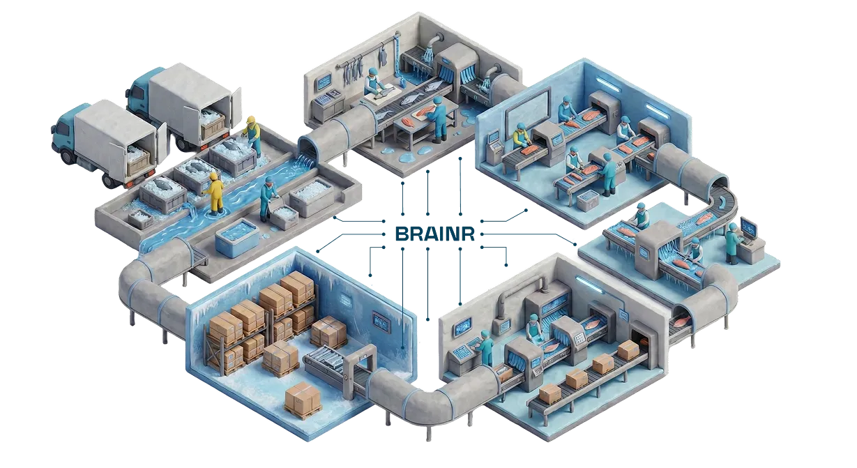 Isometric illustration of a seafood factory showing stages from unloading fish from trucks, washing, processing, sorting, packaging, and boxing, with workers and conveyor belts connected by pipes.