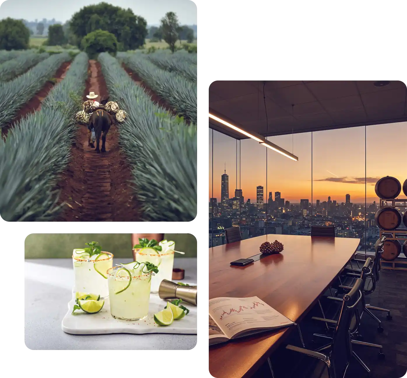 Collage with three images: top left shows a person riding a horse carrying agave piñas in a field, bottom left features glasses of lime margaritas garnished with lime and herbs, and right side depicts a modern conference room with city skyline at sunset.