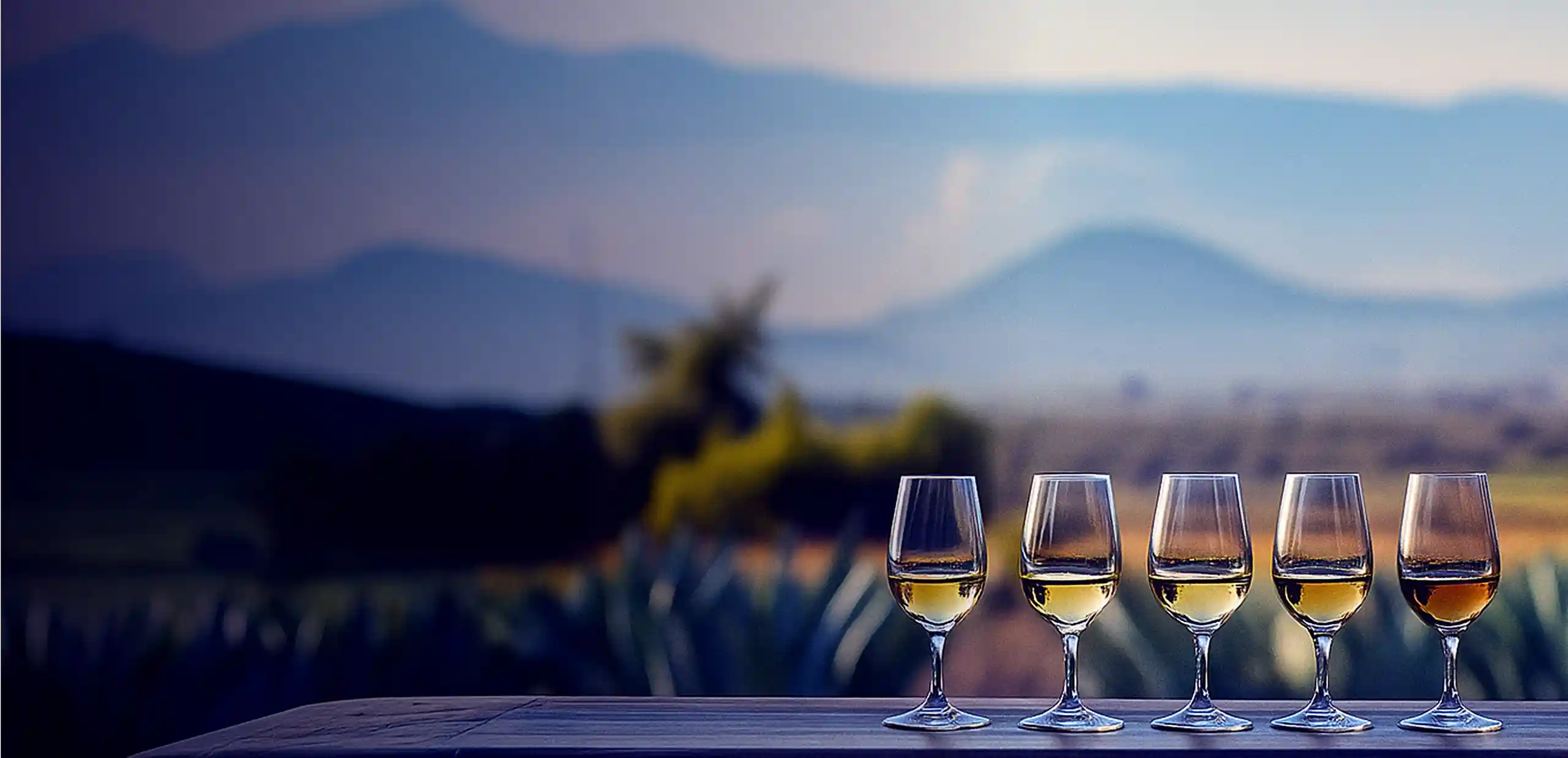 Five glasses with varying shades of amber liquid lined up on a wooden surface with blurred mountains and greenery in the background.