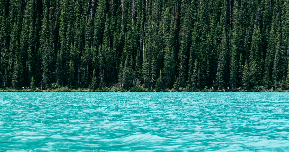 turquoise lake with dense evergreen forest along the shoreline