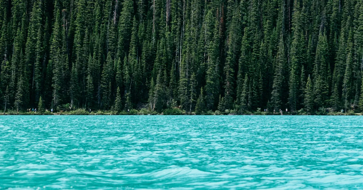 turquoise lake with dense evergreen forest along the shoreline