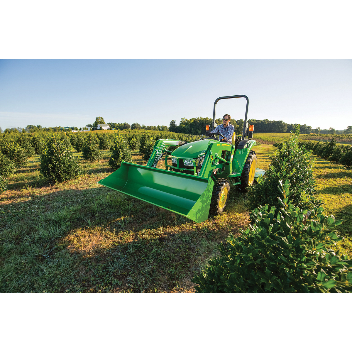 An operator on a green tractor with a front loader drives between rows of neatly planted trees in an orchard under bright daylight with a clear sky and expansive land in the background