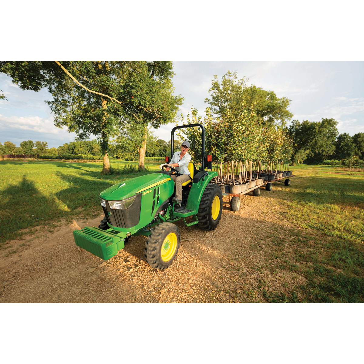 Green tractor driven along a dirt path through a grassy rural field, pulling flatbed trailers loaded with small trees, with scattered trees and soft sunlight in the background